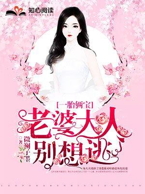 叶南弦沈蔓歌全文免费阅读共有多少章
